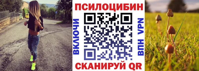 Псилоцибиновые грибы Psilocybe  Инза 